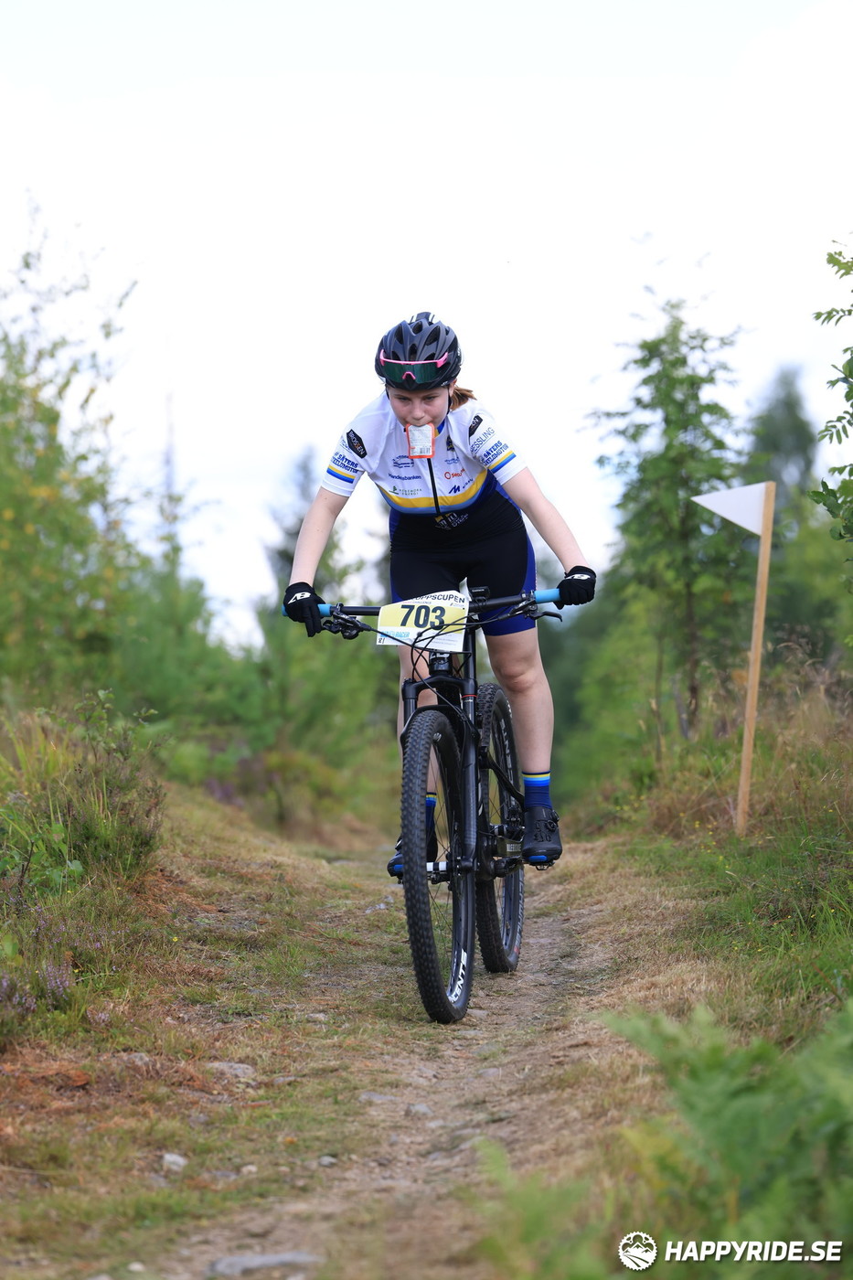 Bild från Engelbrektsturen 2022