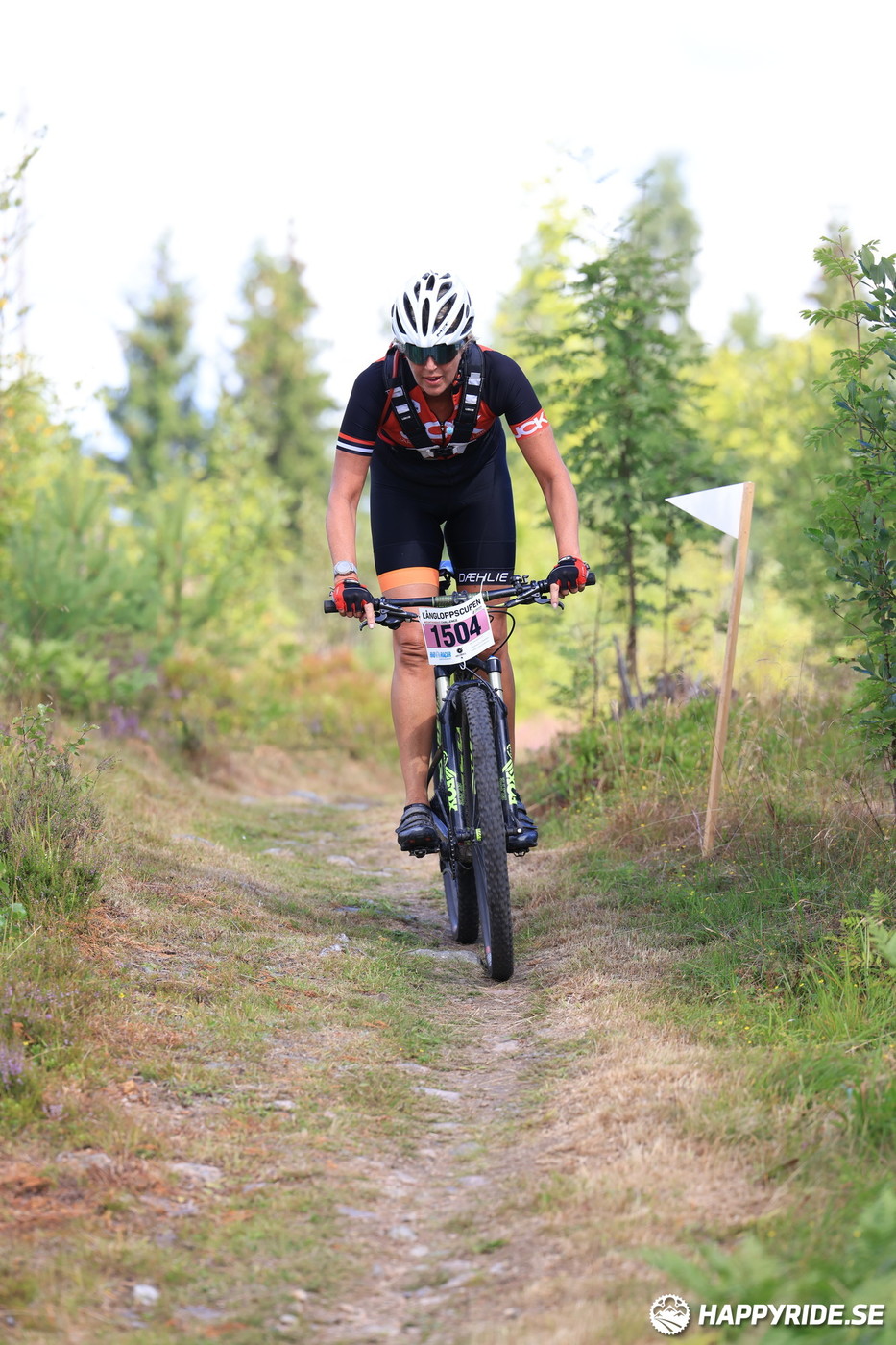 Bild från Engelbrektsturen 2022