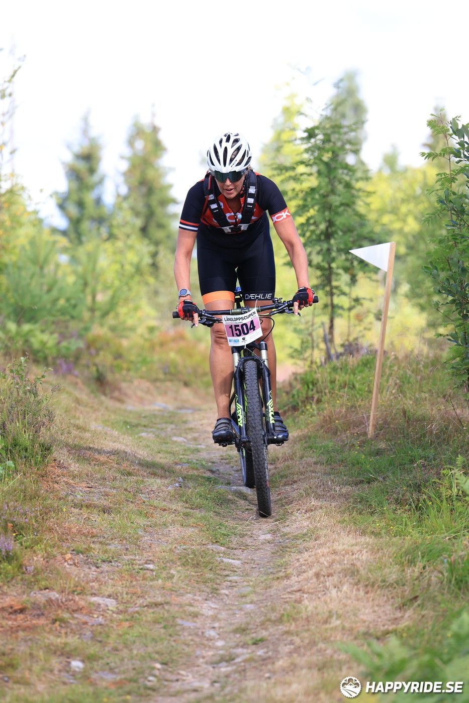 Bild från Engelbrektsturen 2022