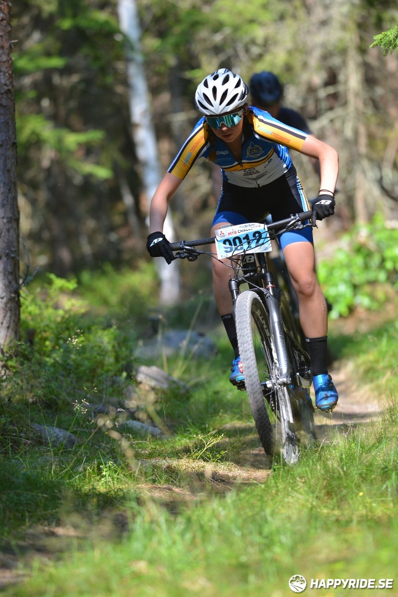 Bild från Finnmarksturen 2019