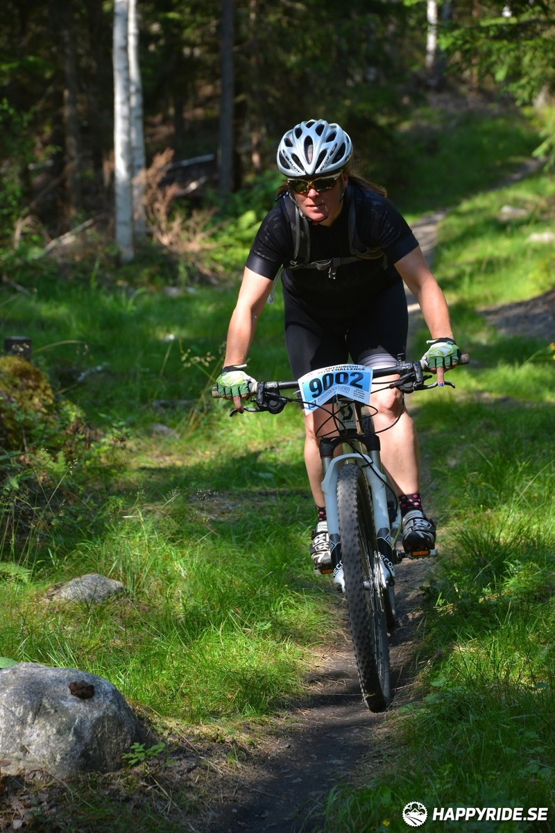 Bild från Finnmarksturen 2019