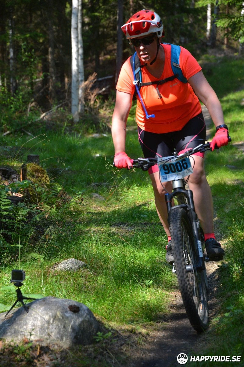Bild från Finnmarksturen 2019