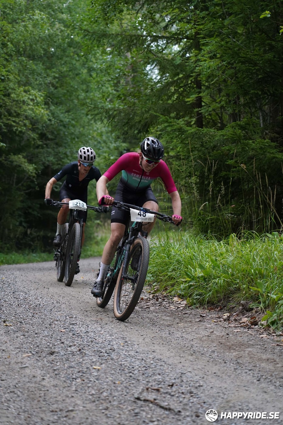 Bild från Finnmarksturen 2022