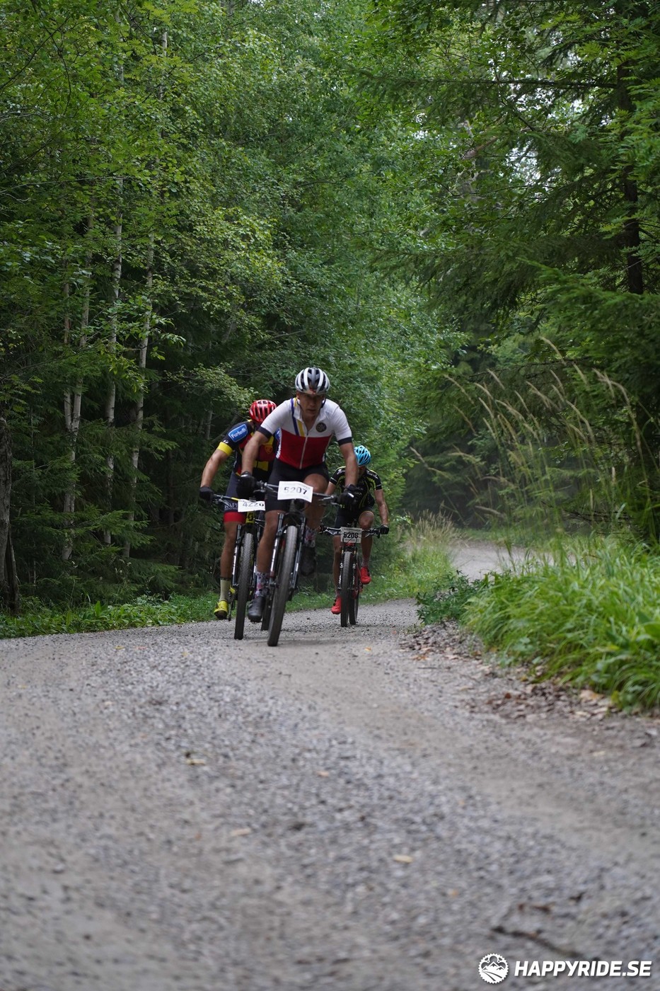 Bild från Finnmarksturen 2022