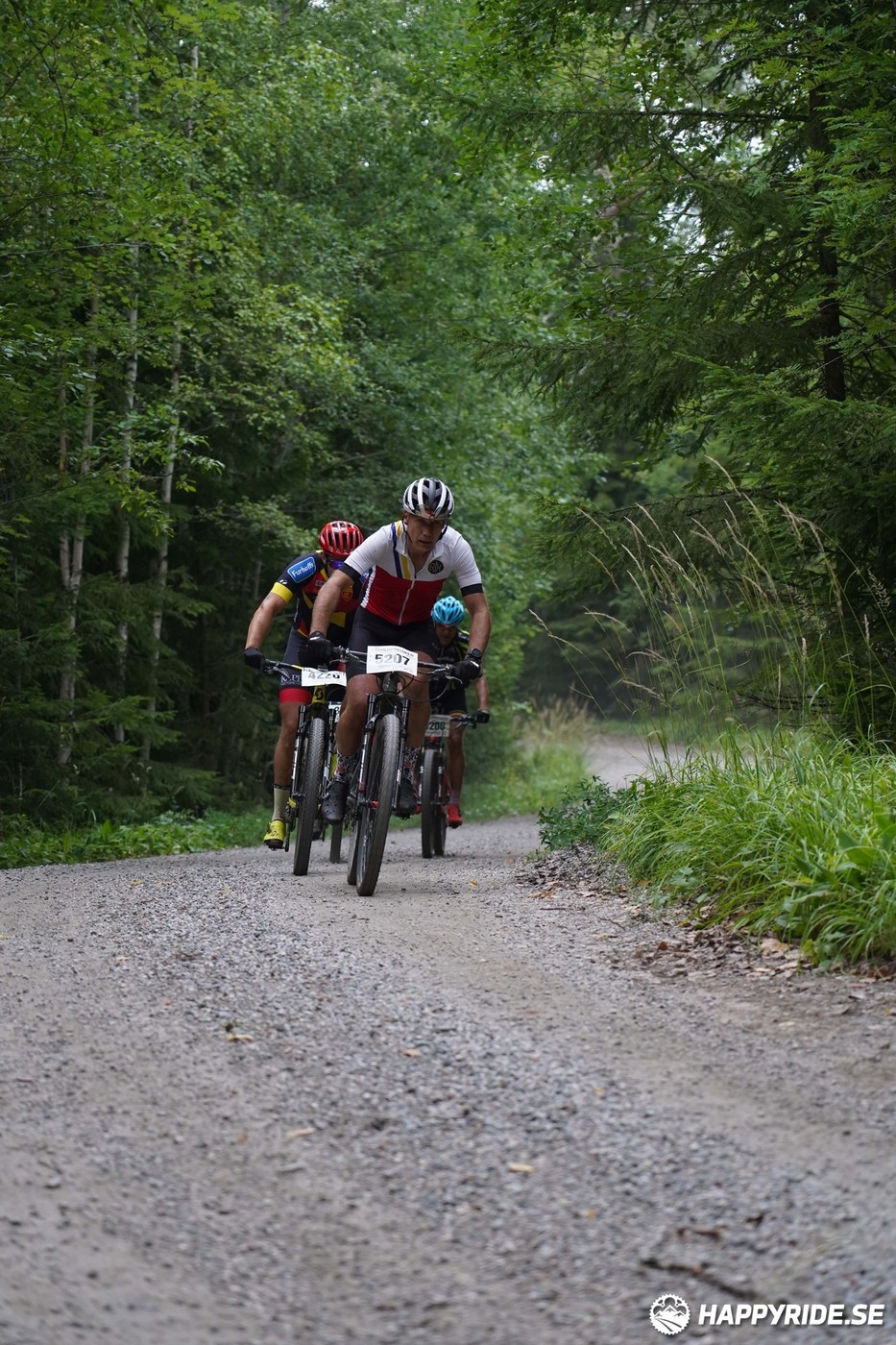 Bild från Finnmarksturen 2022