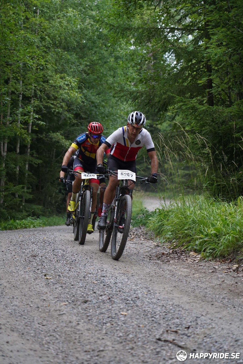 Bild från Finnmarksturen 2022