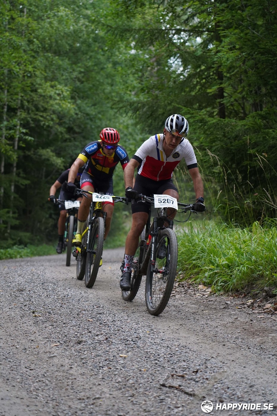 Bild från Finnmarksturen 2022