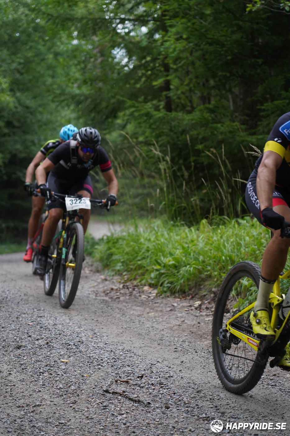 Bild från Finnmarksturen 2022