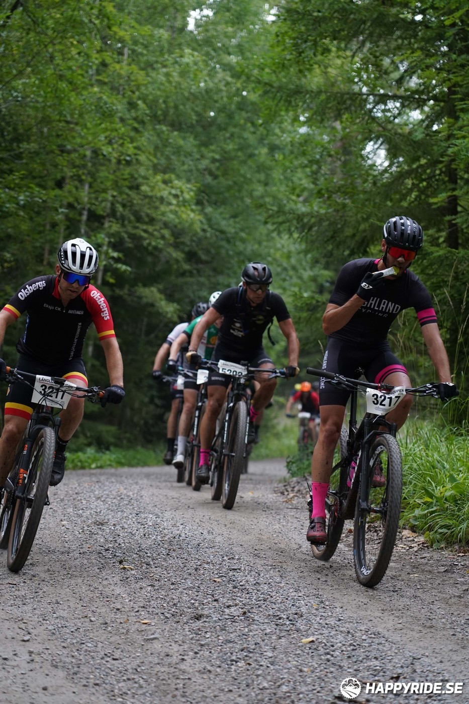 Bild från Finnmarksturen 2022