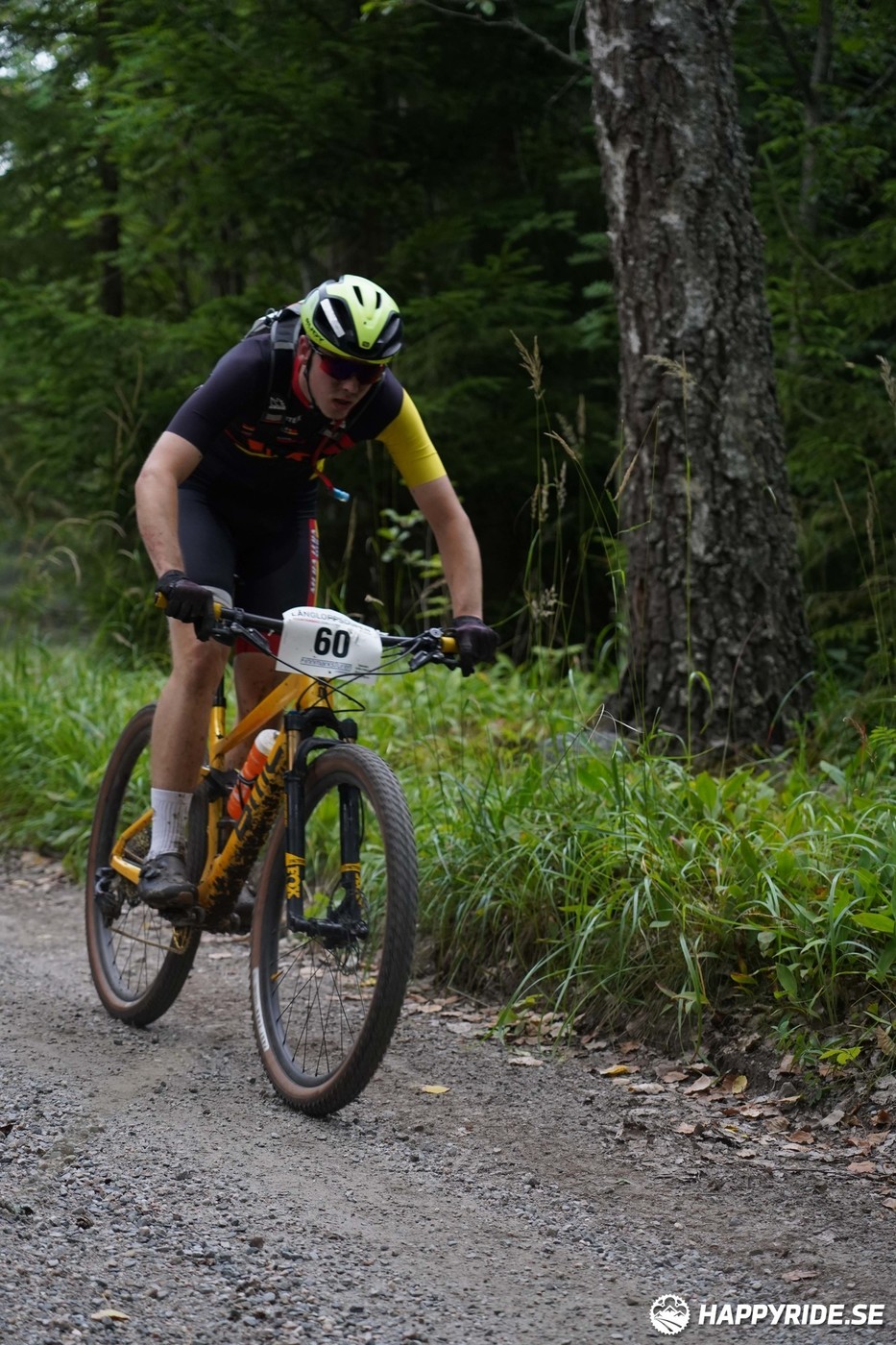 Bild från Finnmarksturen 2022