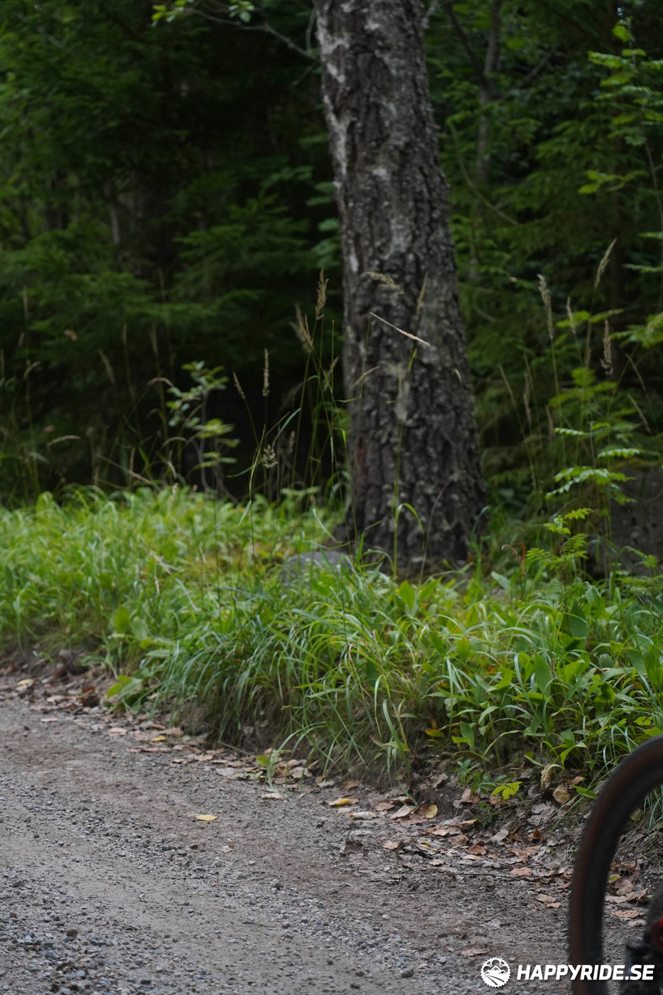 Bild från Finnmarksturen 2022