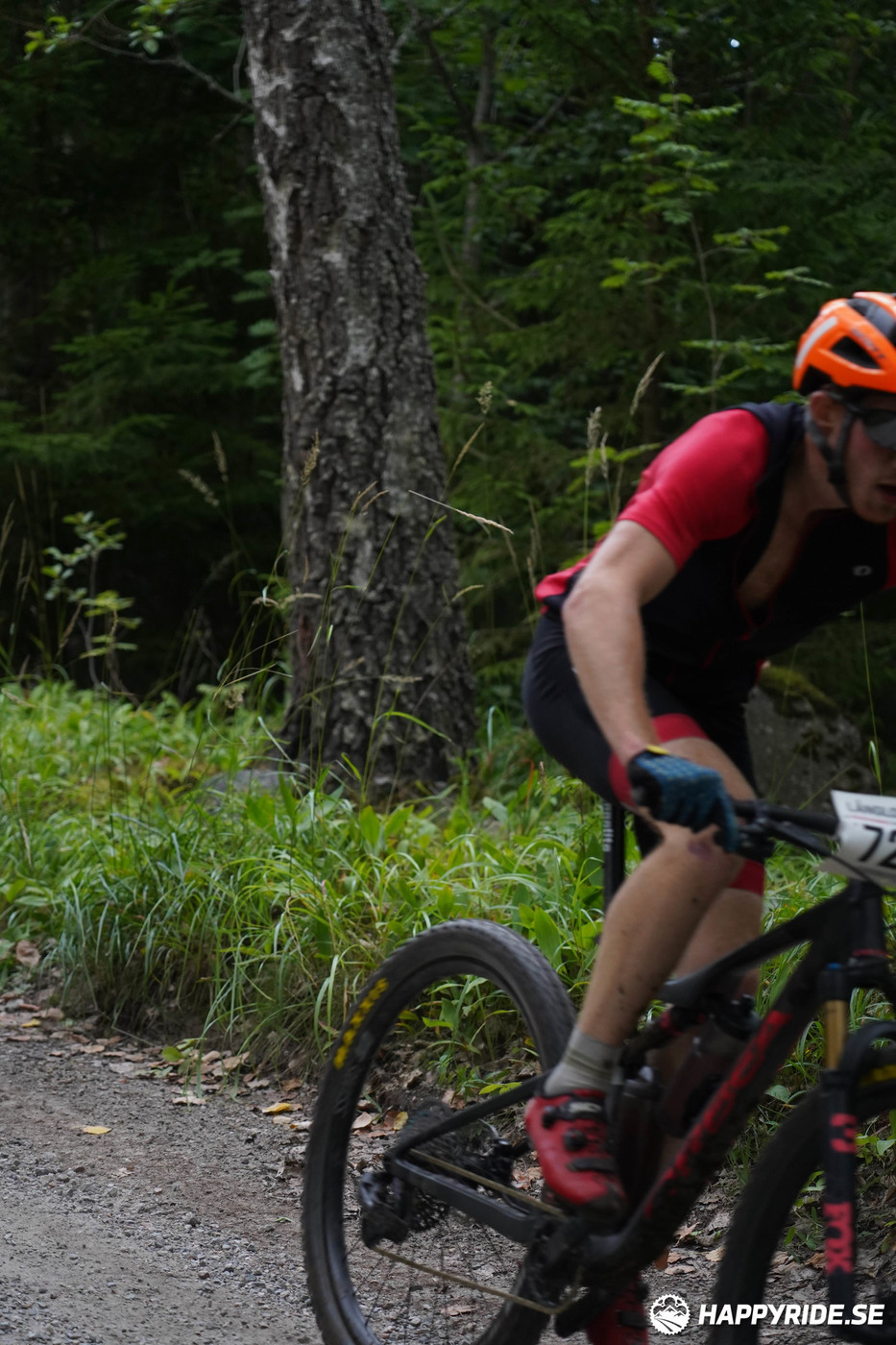 Bild från Finnmarksturen 2022