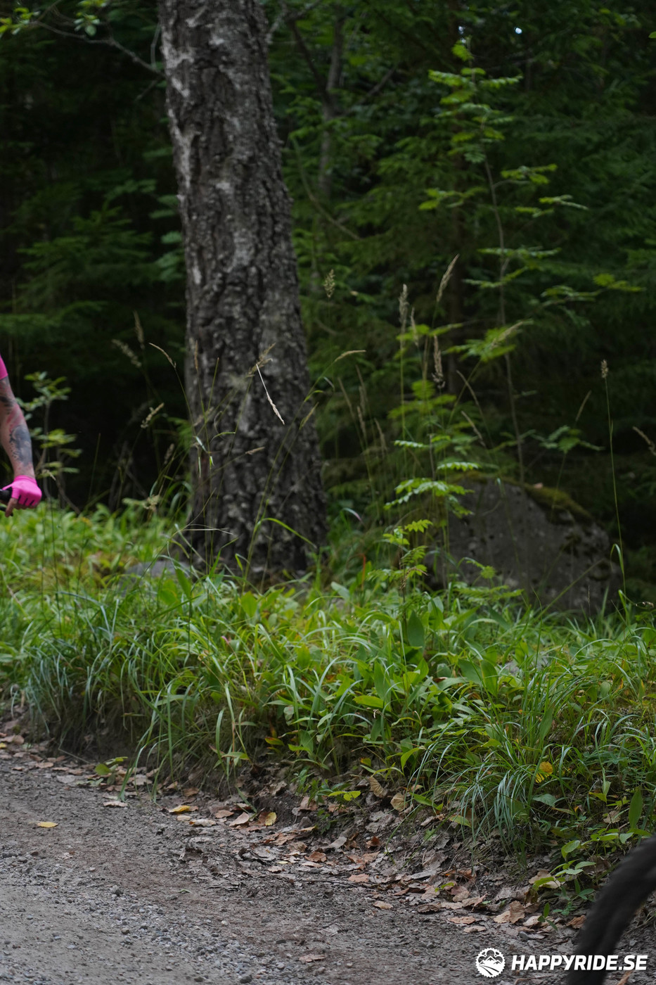 Bild från Finnmarksturen 2022