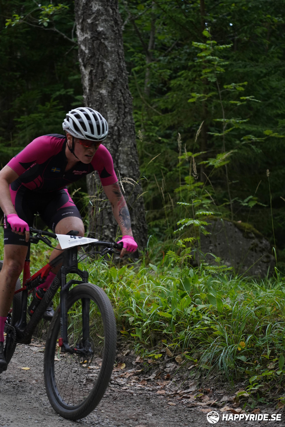 Bild från Finnmarksturen 2022