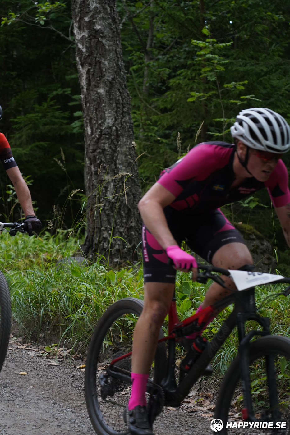 Bild från Finnmarksturen 2022