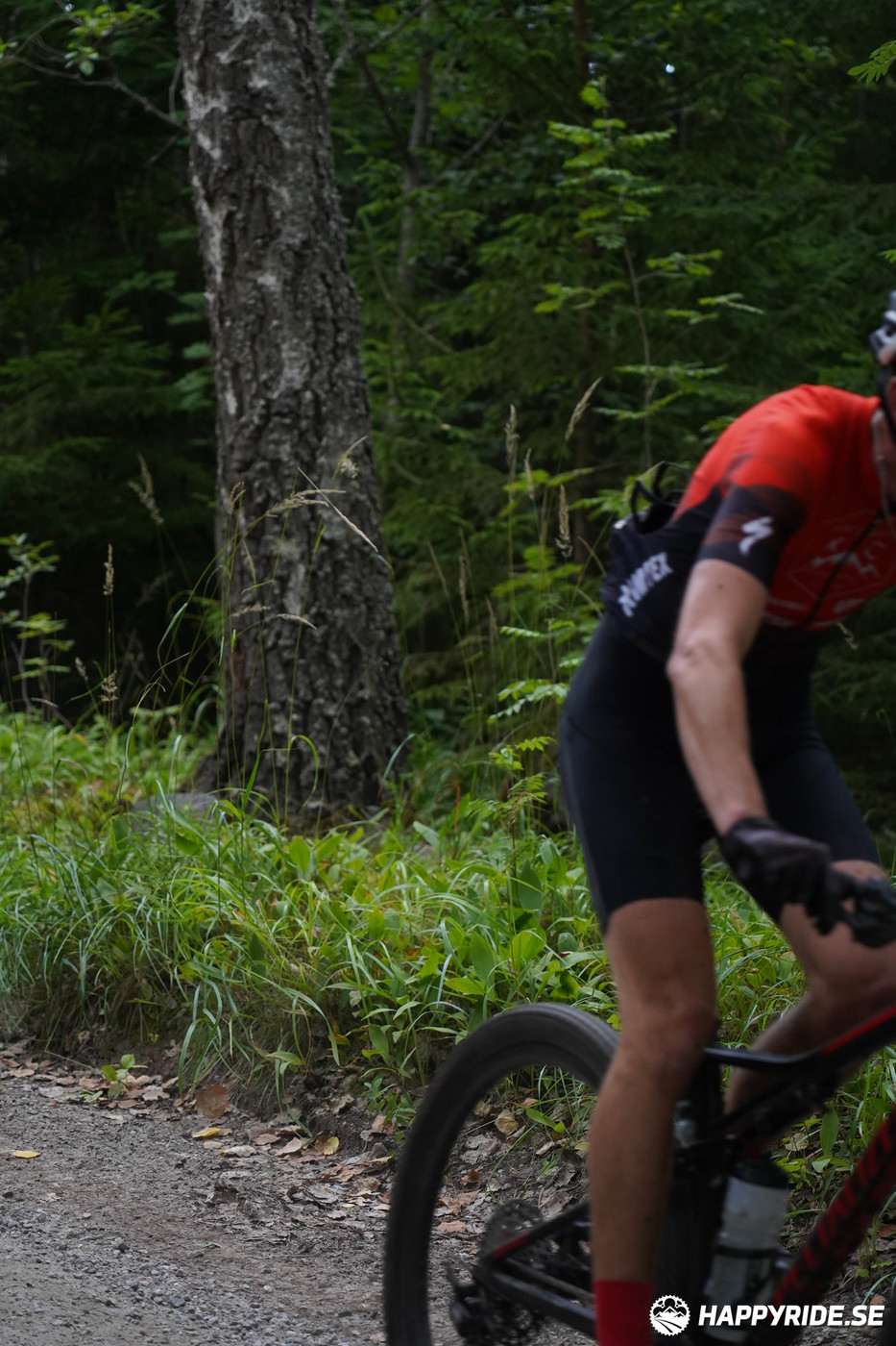 Bild från Finnmarksturen 2022