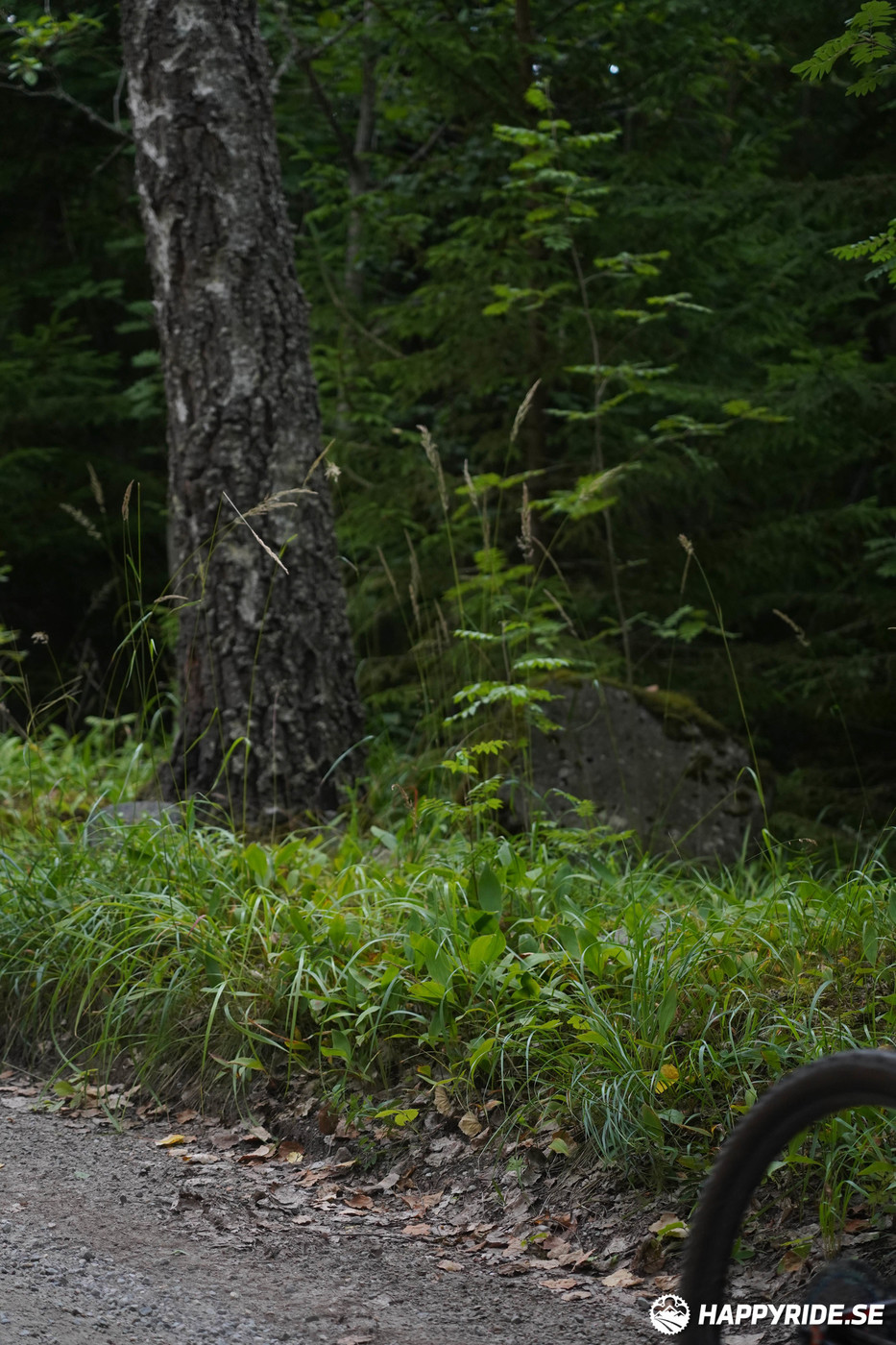 Bild från Finnmarksturen 2022