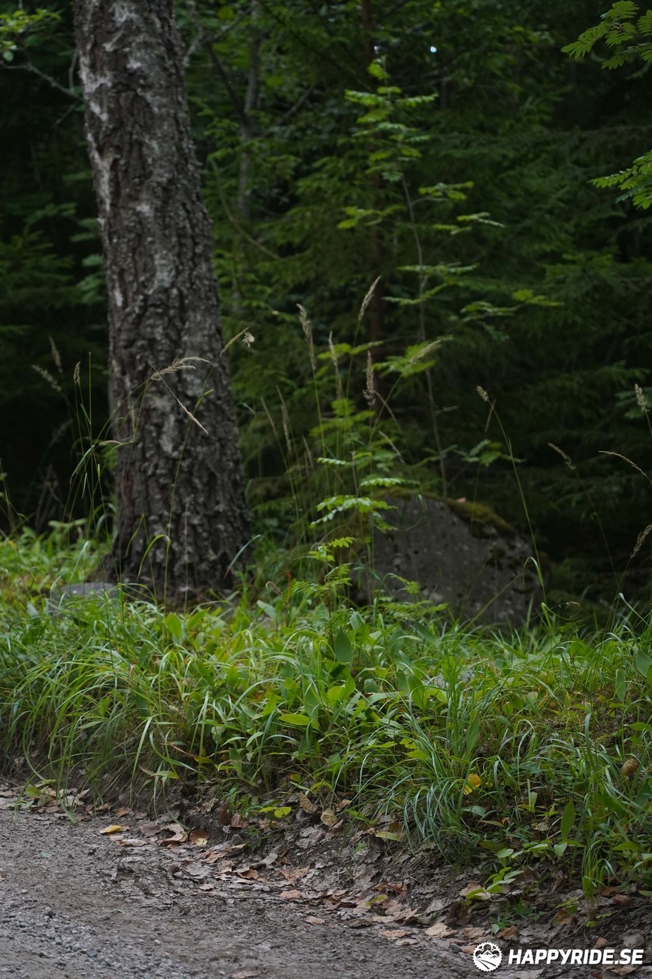 Bild från Finnmarksturen 2022