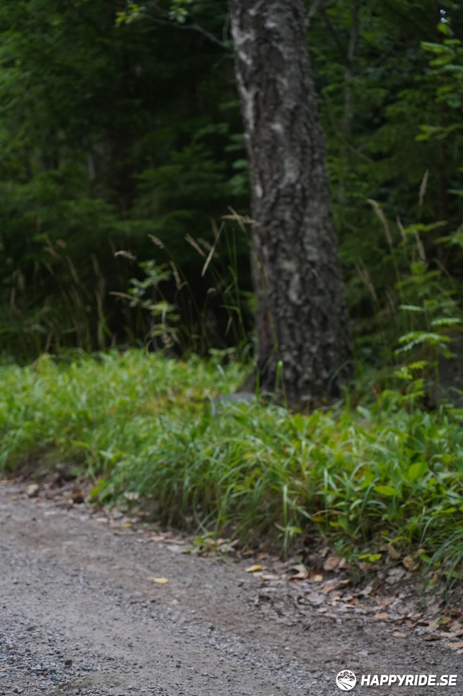 Bild från Finnmarksturen 2022