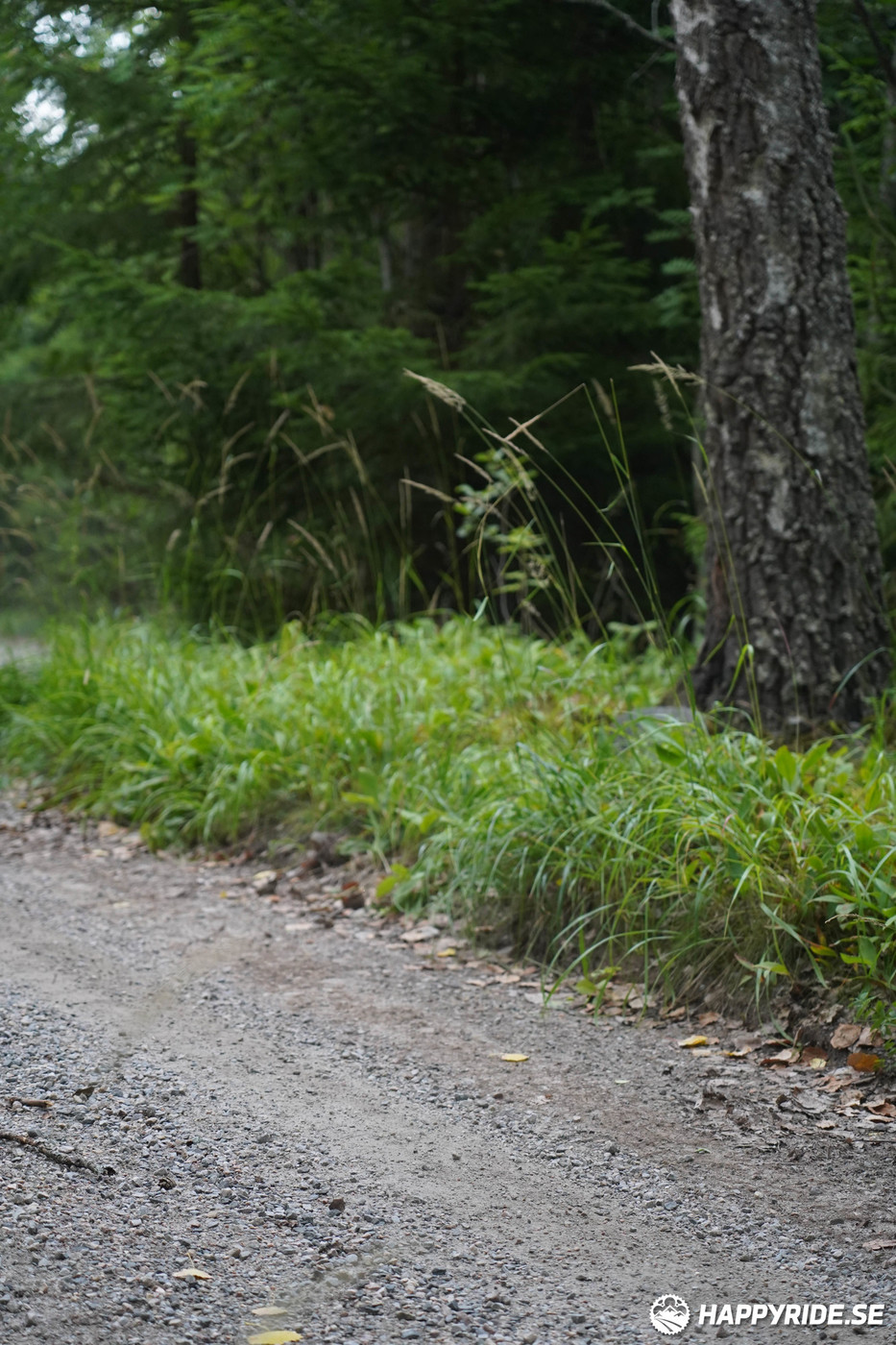 Bild från Finnmarksturen 2022
