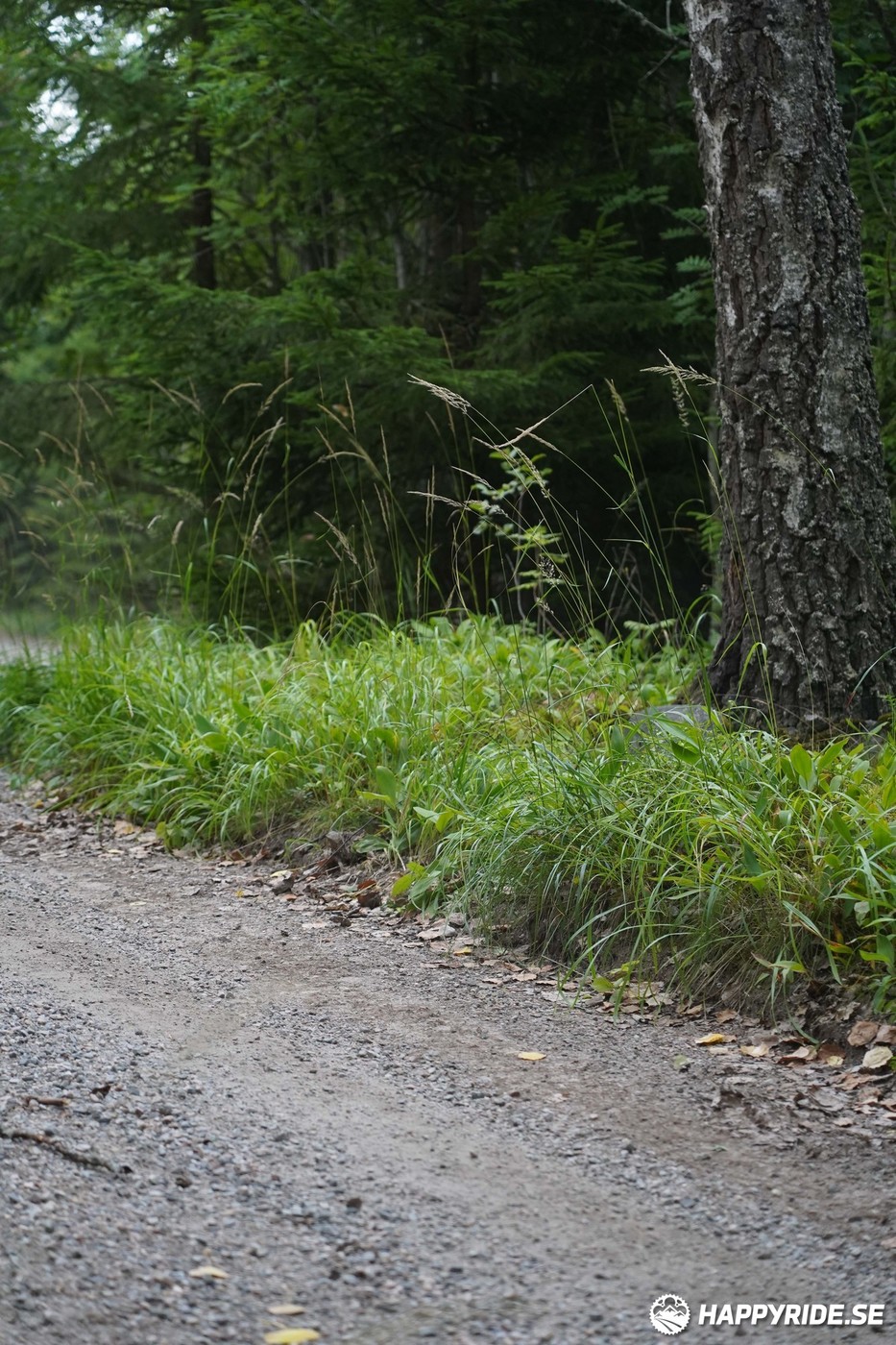 Bild från Finnmarksturen 2022