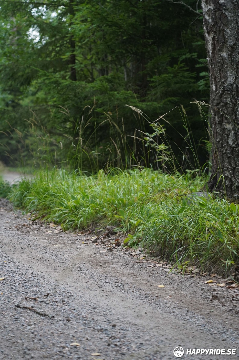 Bild från Finnmarksturen 2022