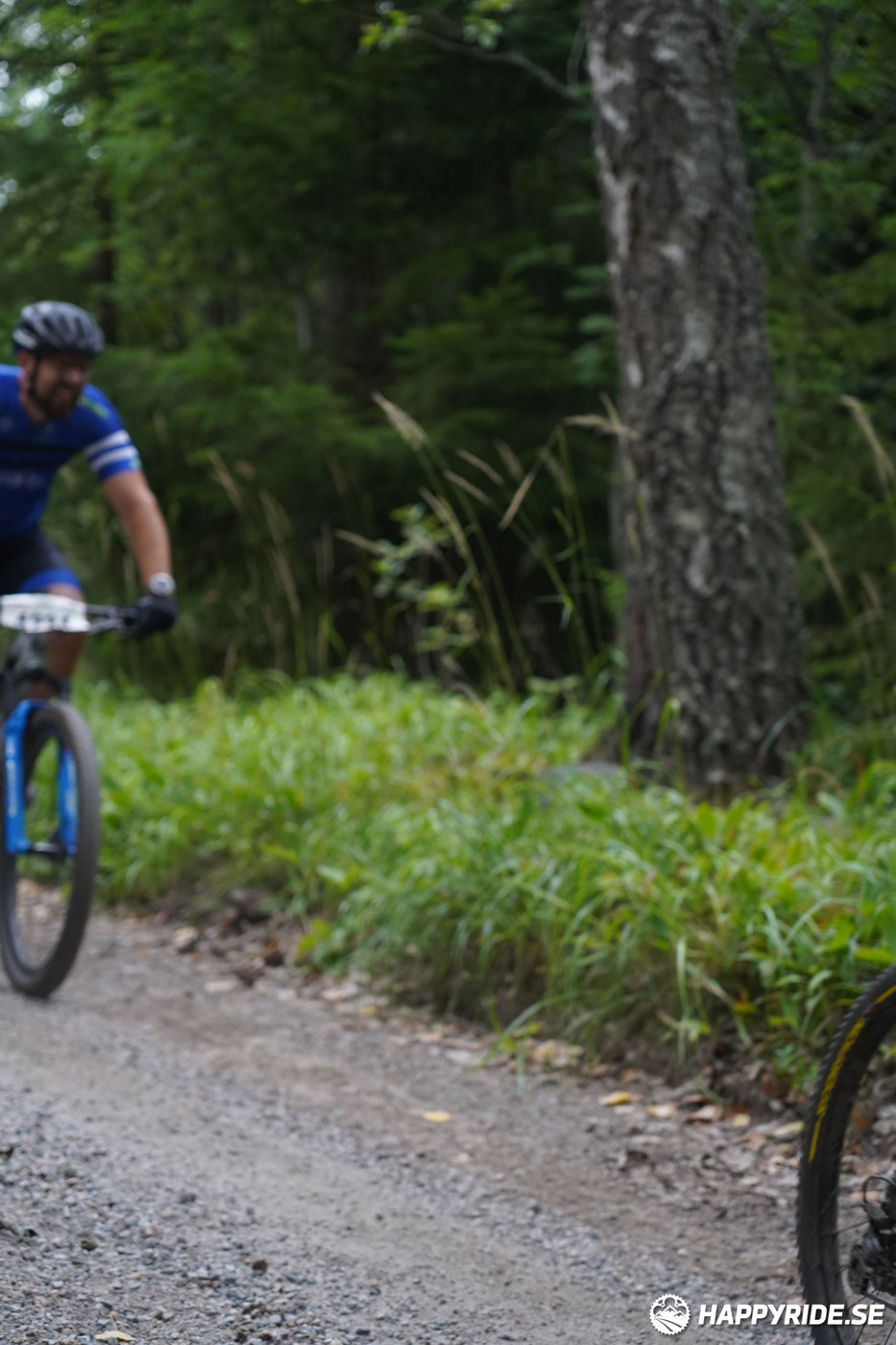 Bild från Finnmarksturen 2022