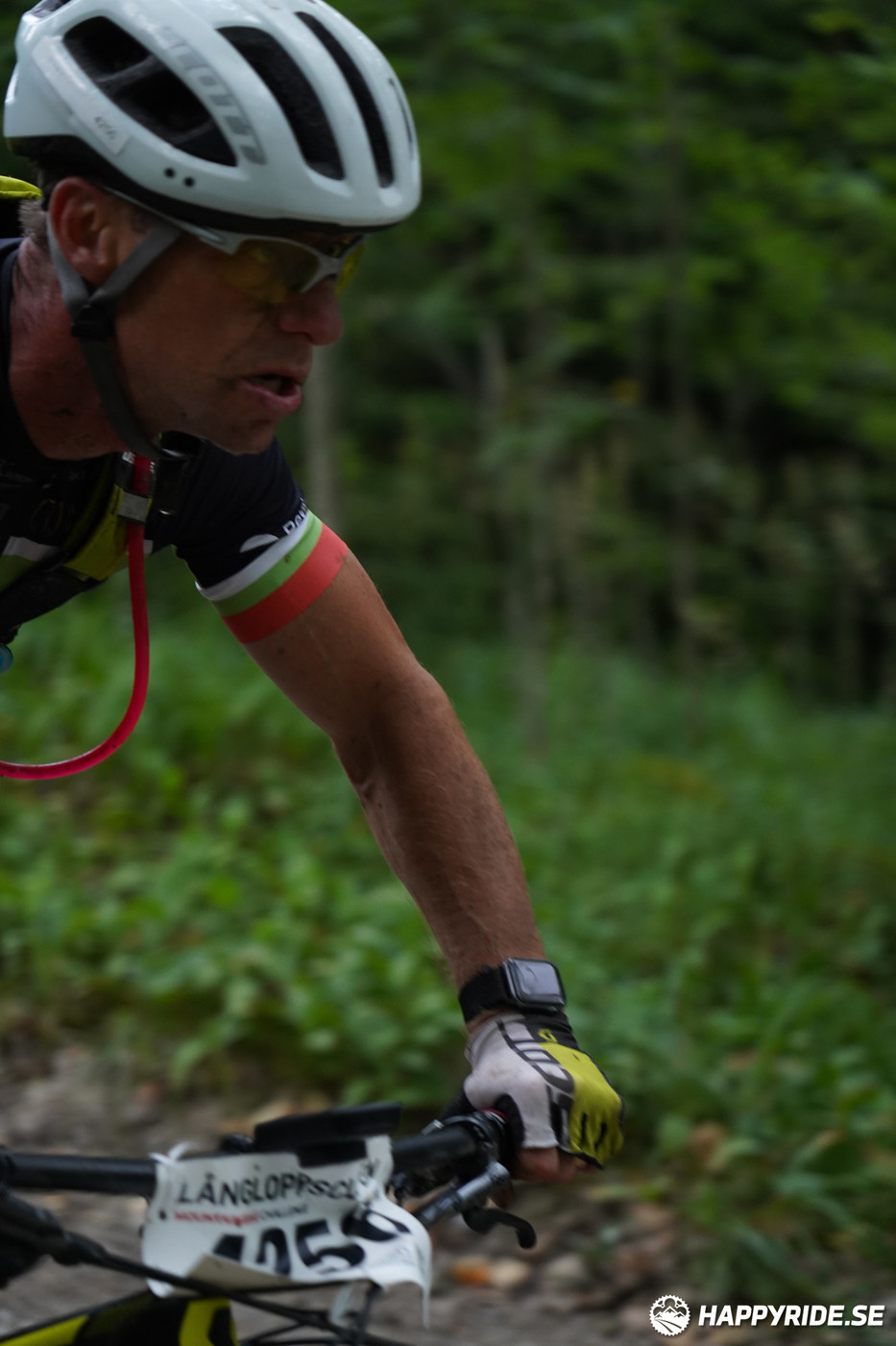 Bild från Finnmarksturen 2022