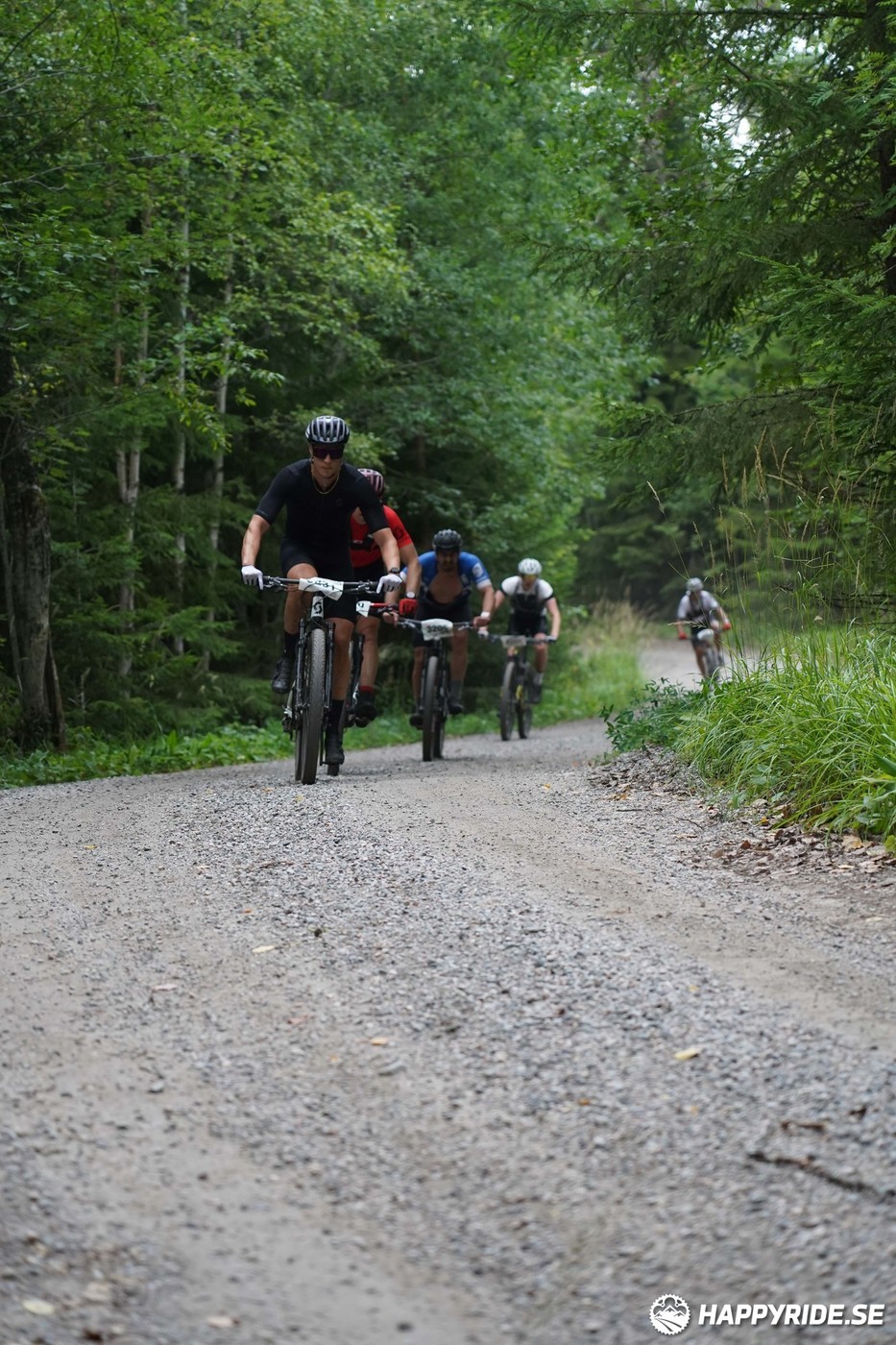 Bild från Finnmarksturen 2022