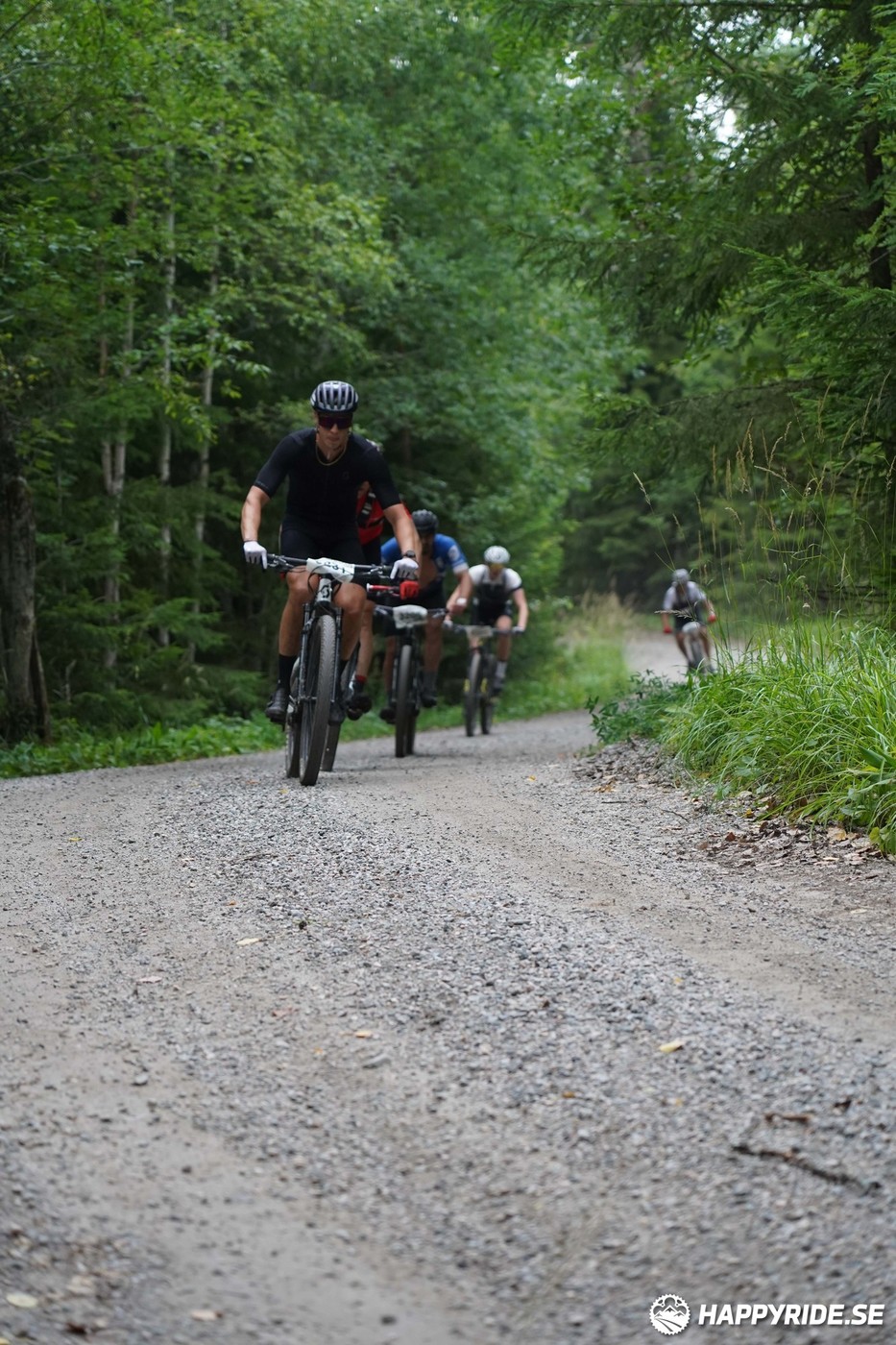 Bild från Finnmarksturen 2022