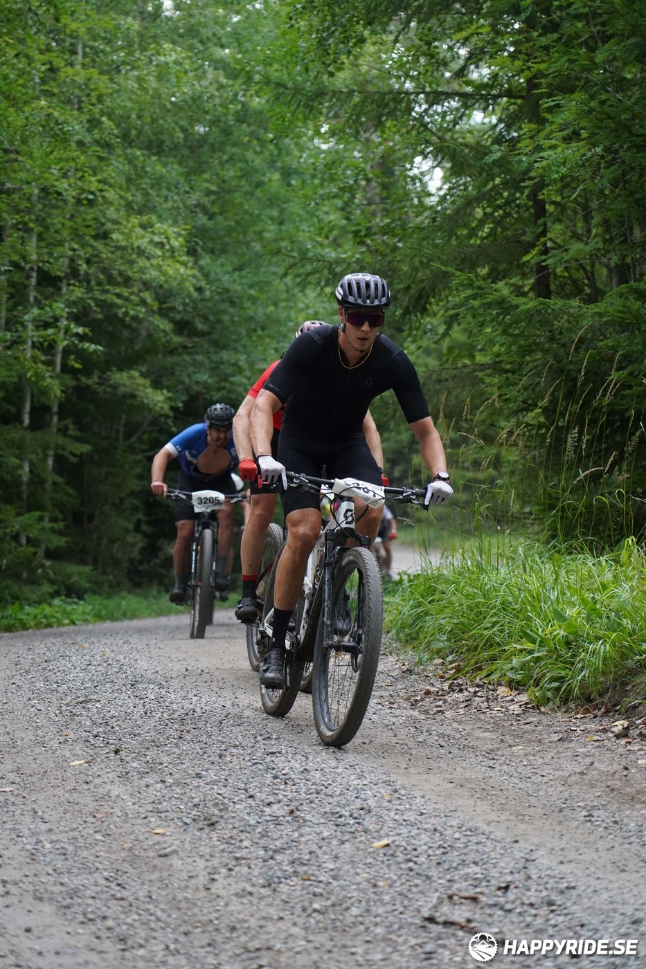 Bild från Finnmarksturen 2022