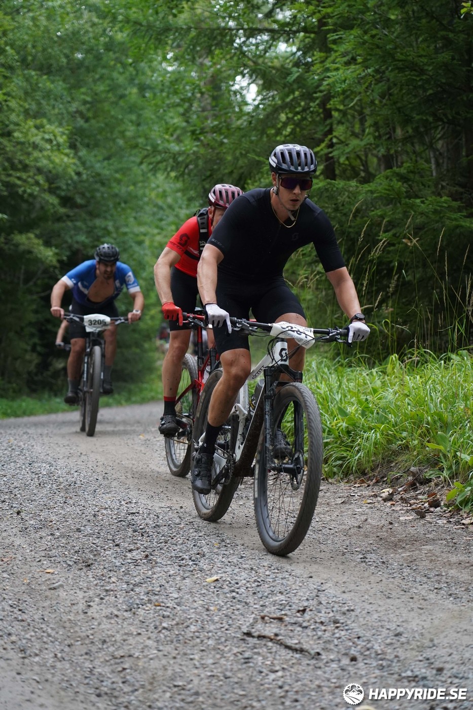 Bild från Finnmarksturen 2022