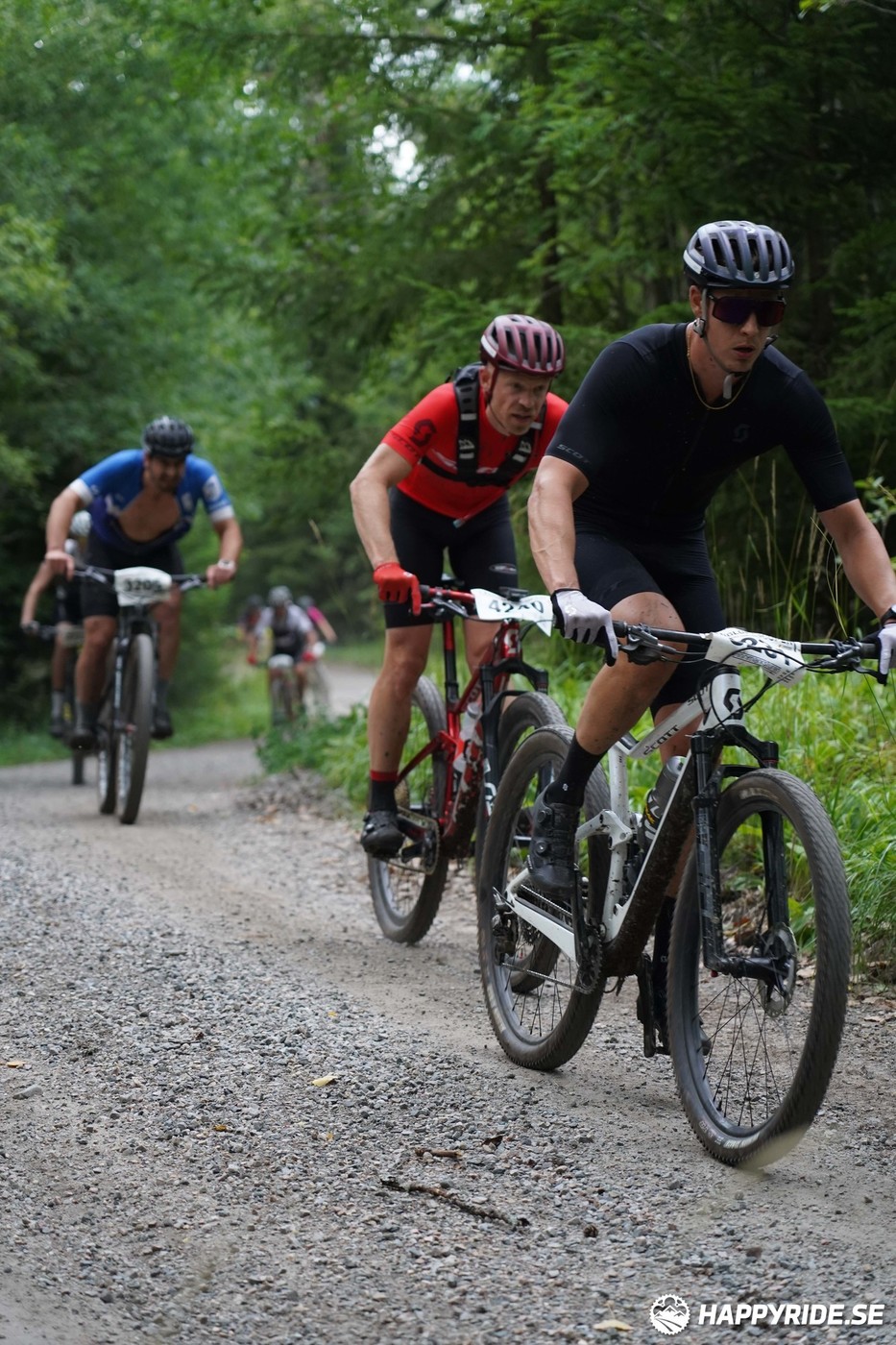 Bild från Finnmarksturen 2022