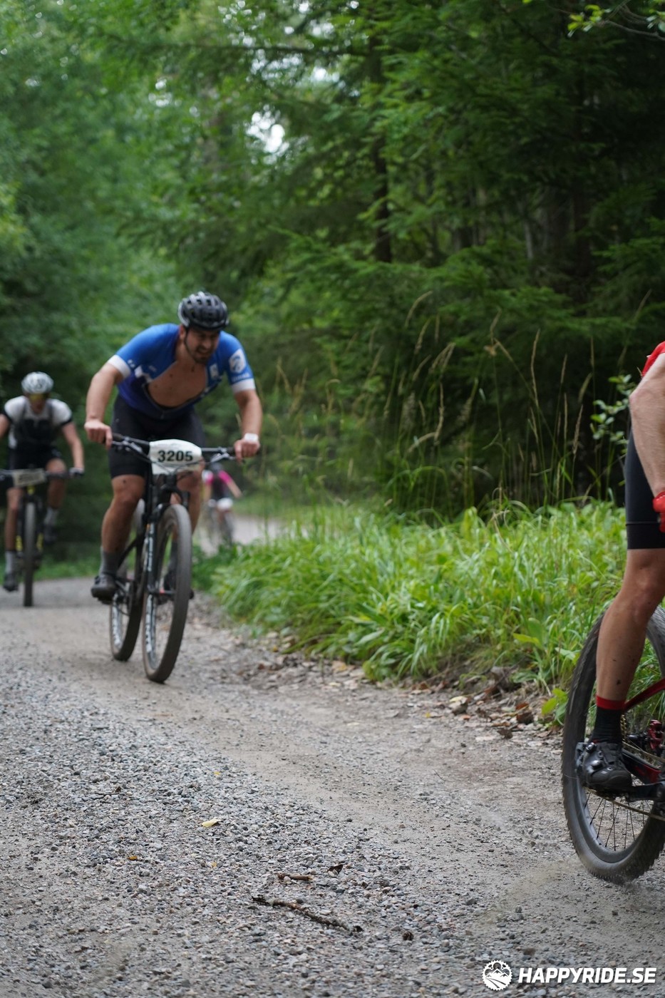 Bild från Finnmarksturen 2022