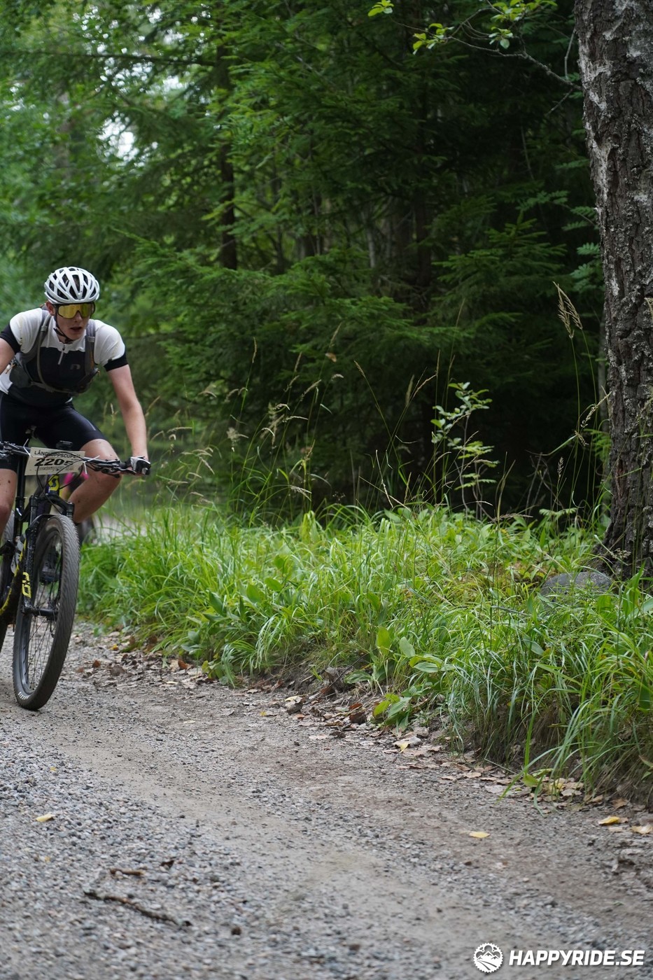 Bild från Finnmarksturen 2022