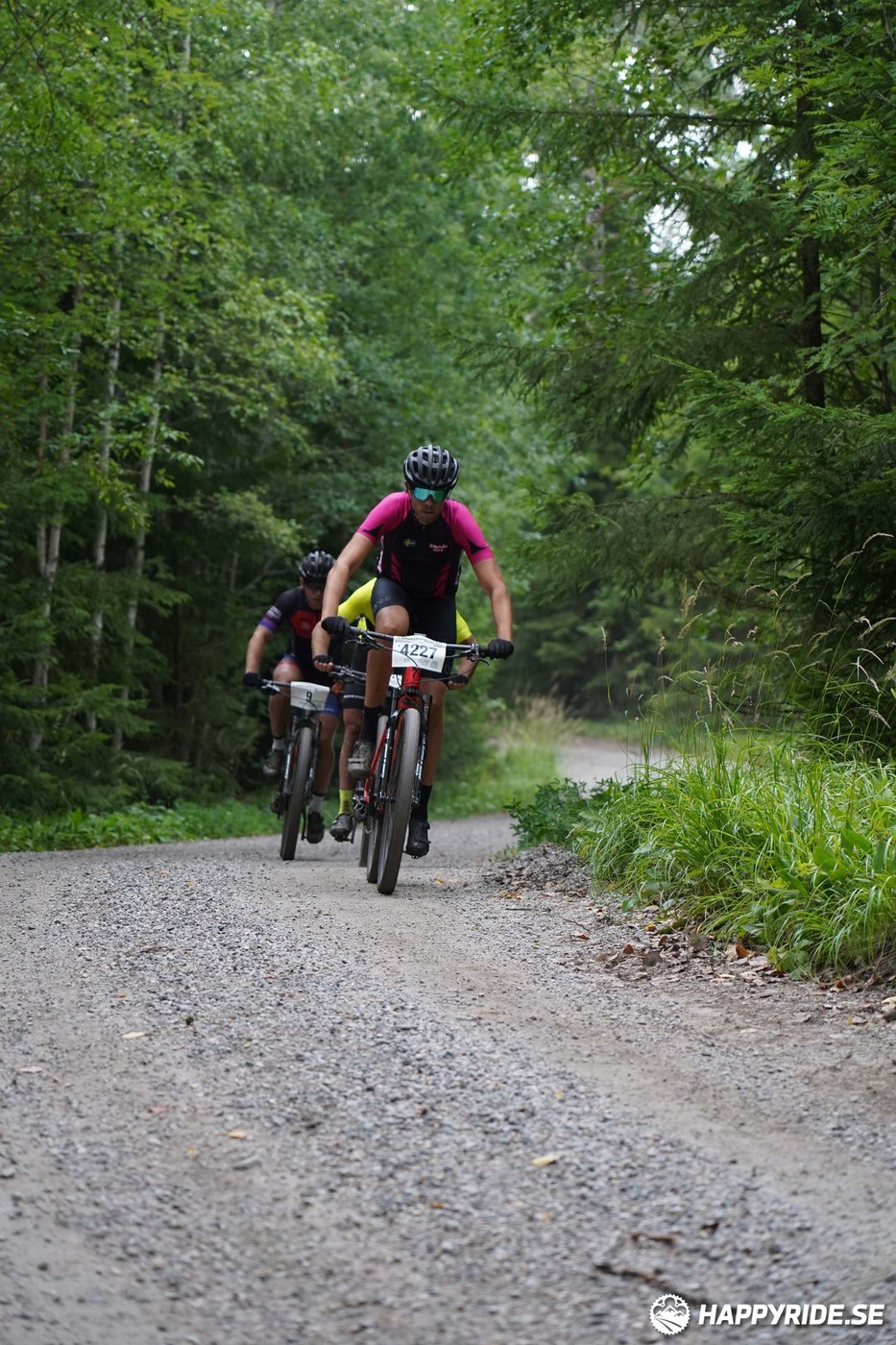 Bild från Finnmarksturen 2022