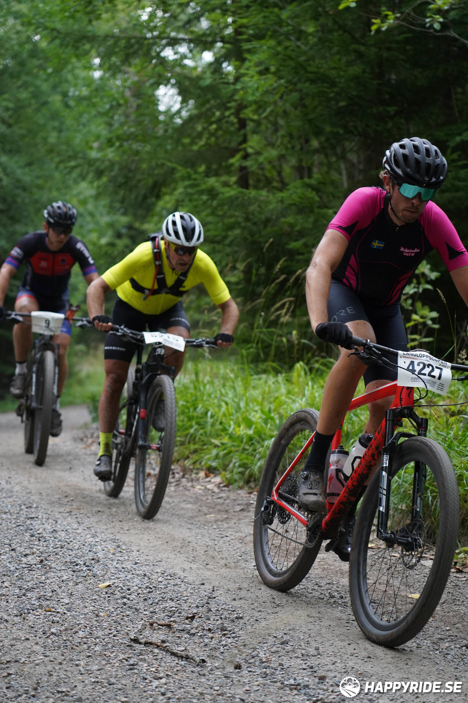 Bild från Finnmarksturen 2022