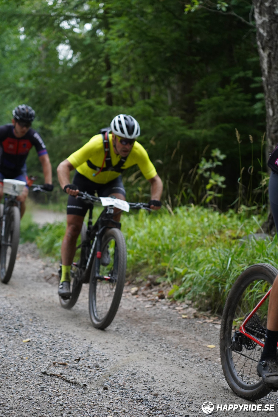 Bild från Finnmarksturen 2022