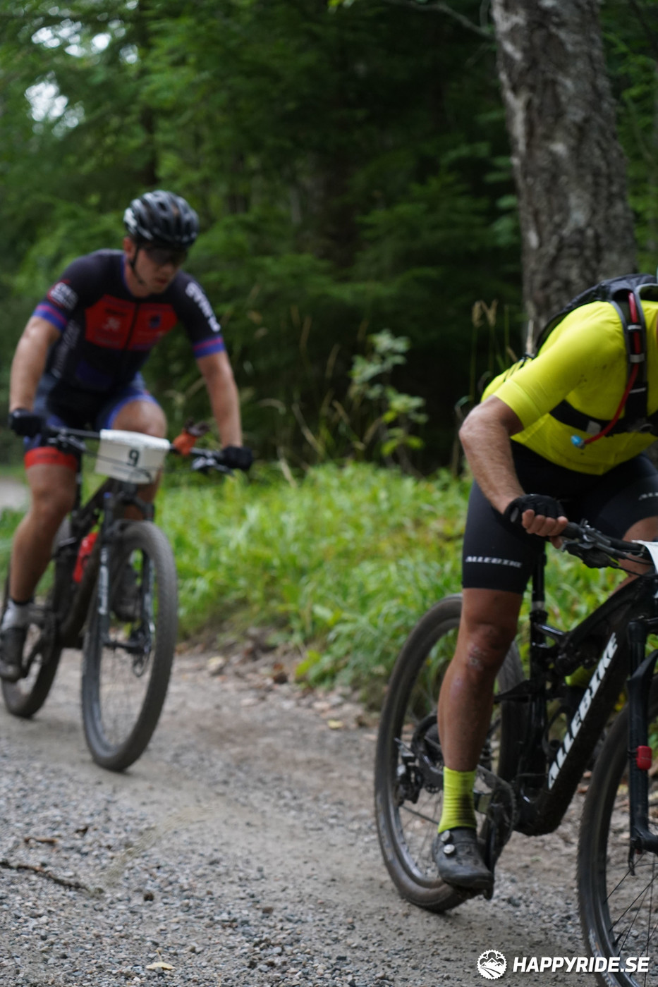 Bild från Finnmarksturen 2022