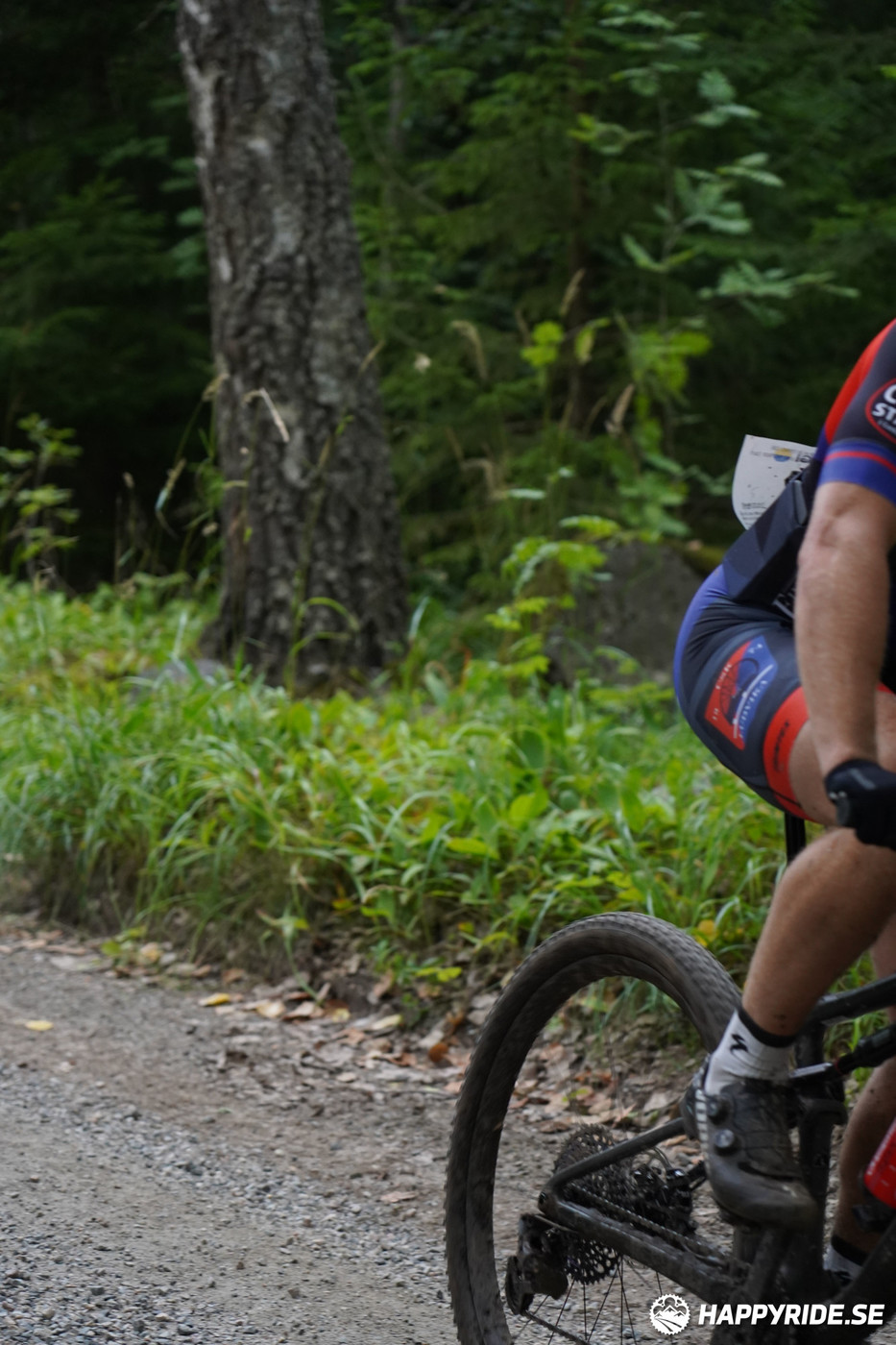 Bild från Finnmarksturen 2022