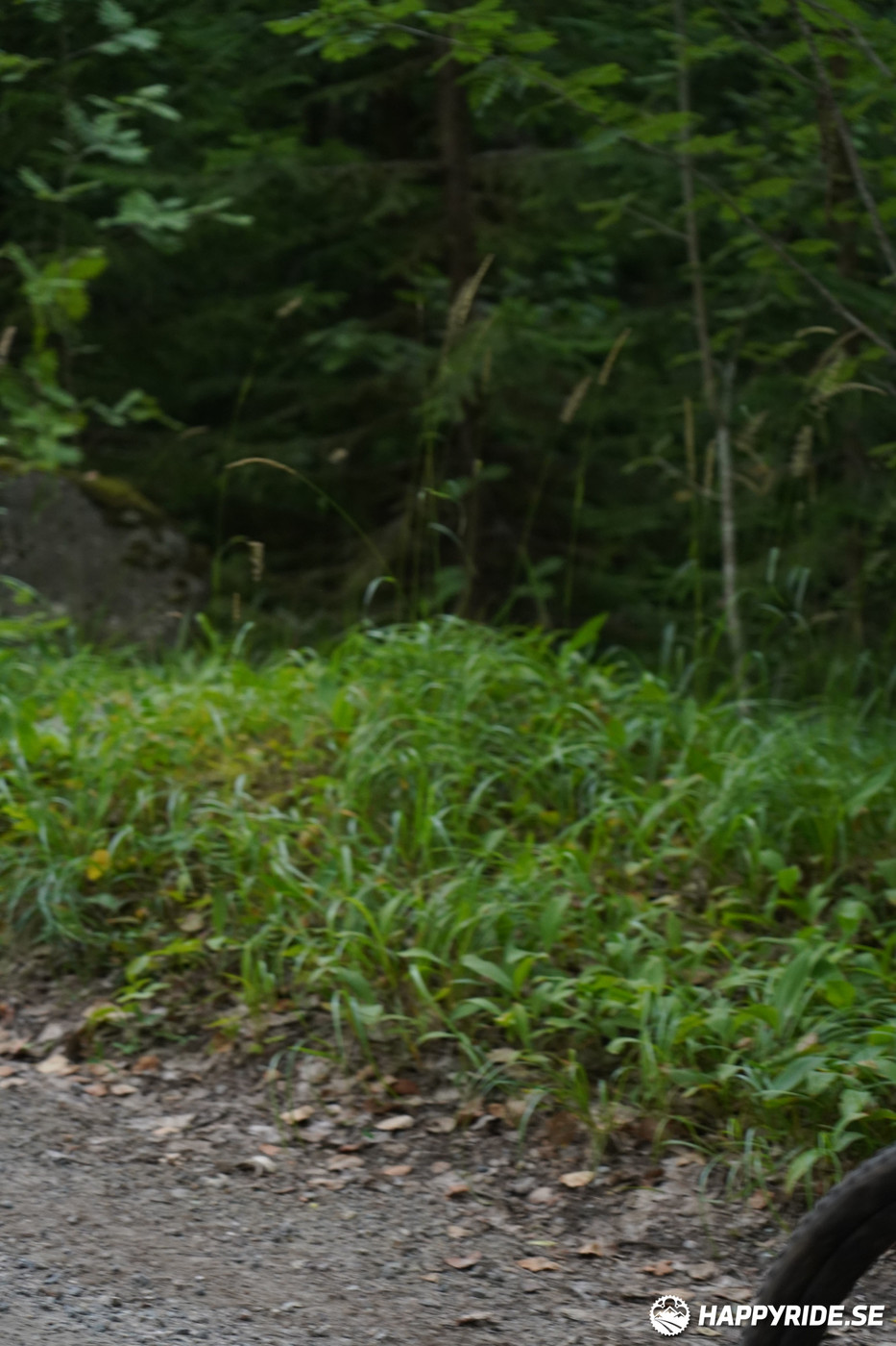 Bild från Finnmarksturen 2022