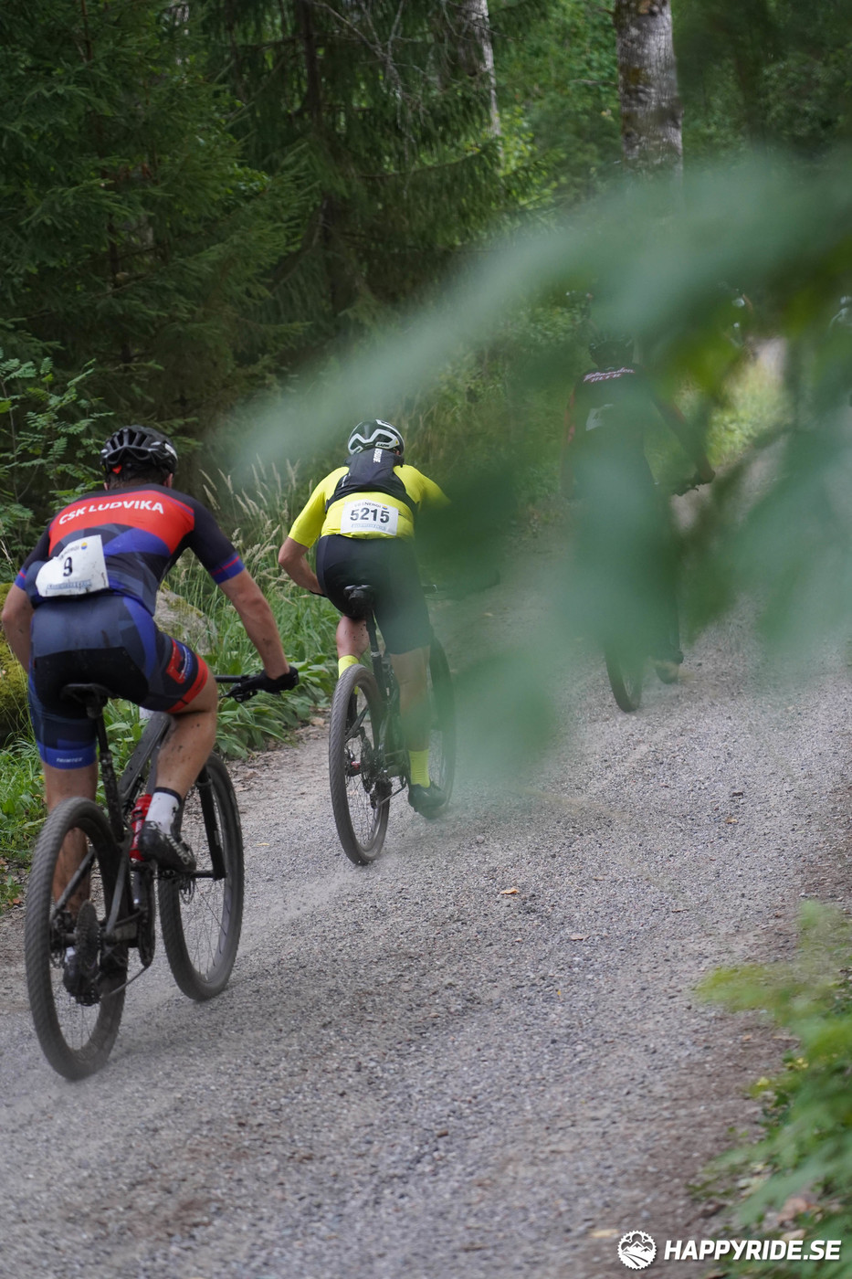 Bild från Finnmarksturen 2022