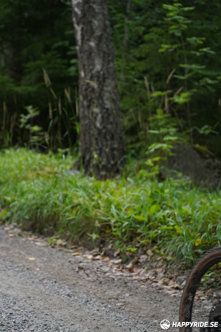 Bild från Finnmarksturen 2022