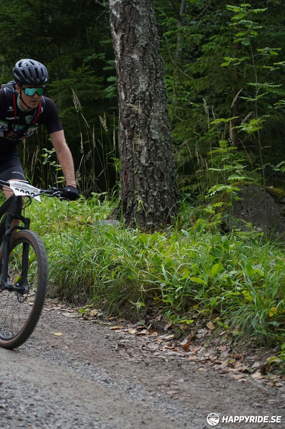 Bild från Finnmarksturen 2022