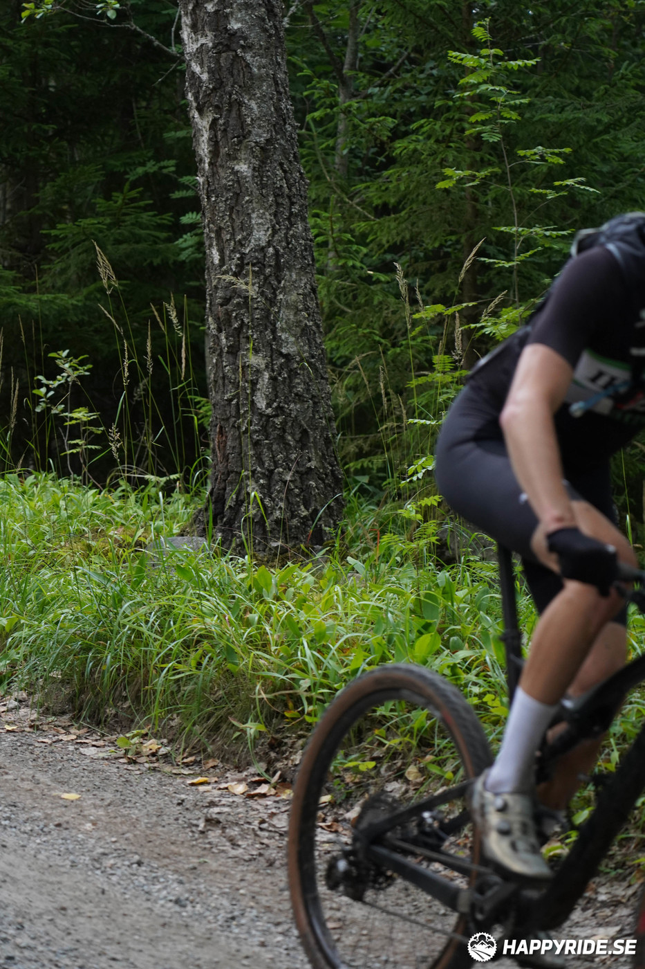 Bild från Finnmarksturen 2022