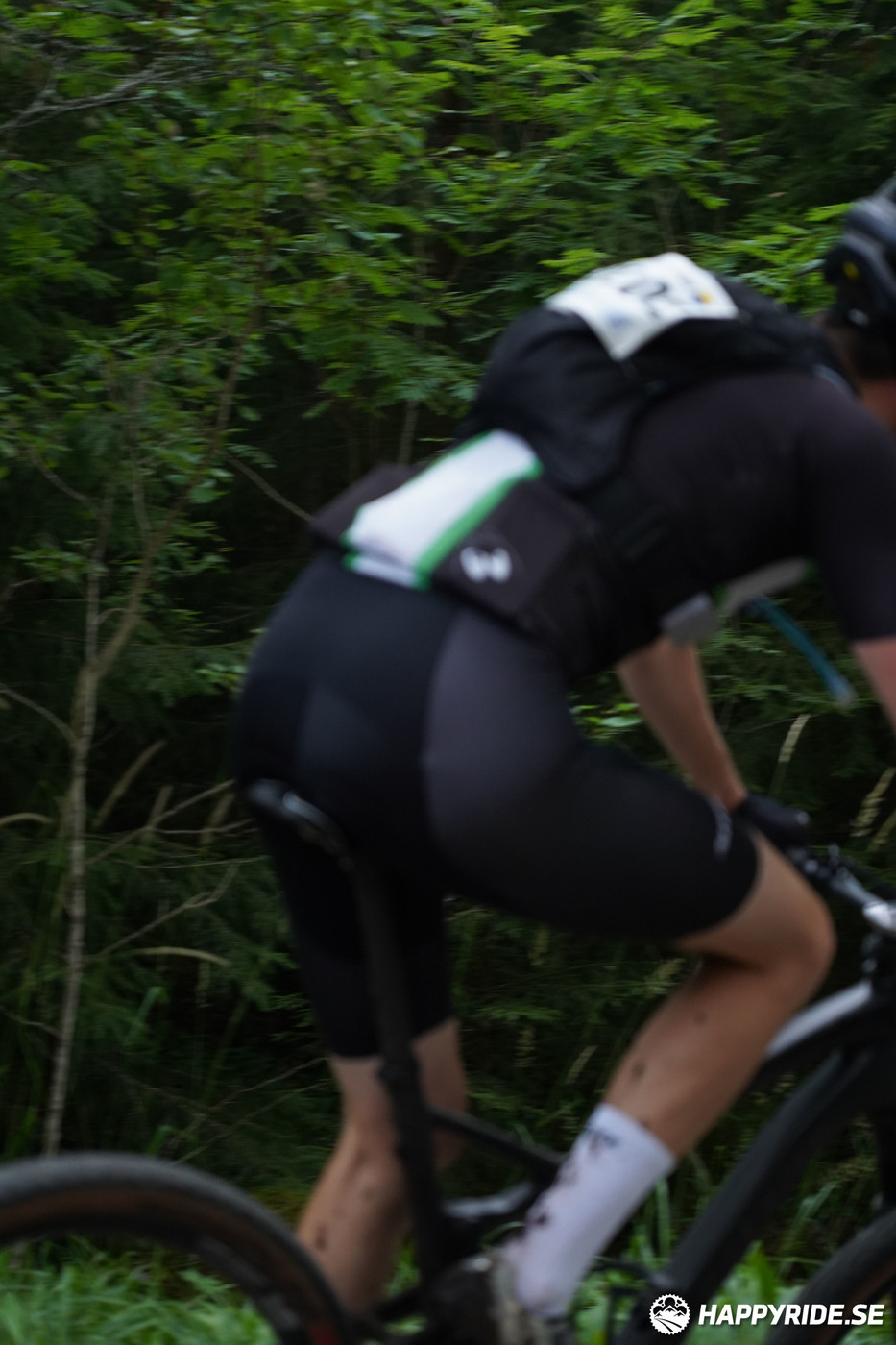 Bild från Finnmarksturen 2022