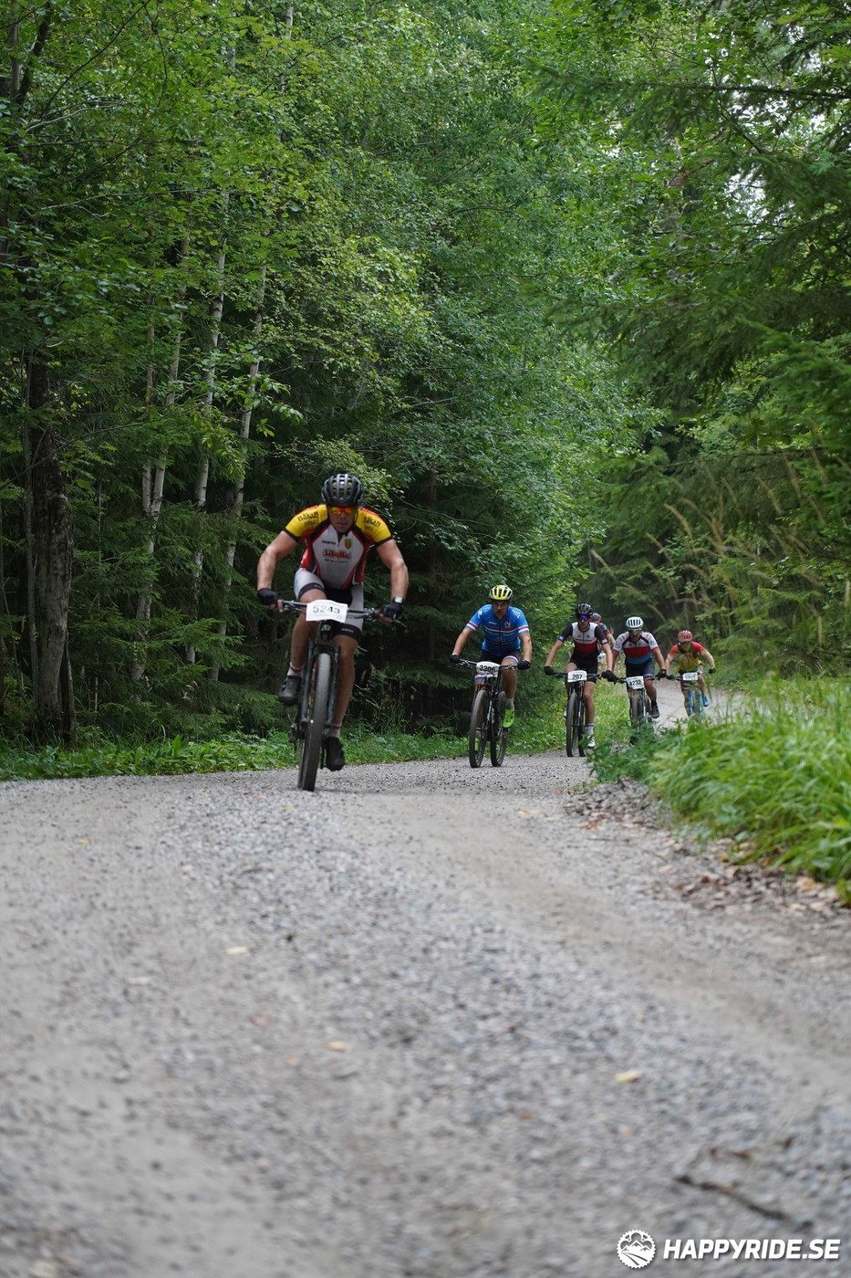 Bild från Finnmarksturen 2022