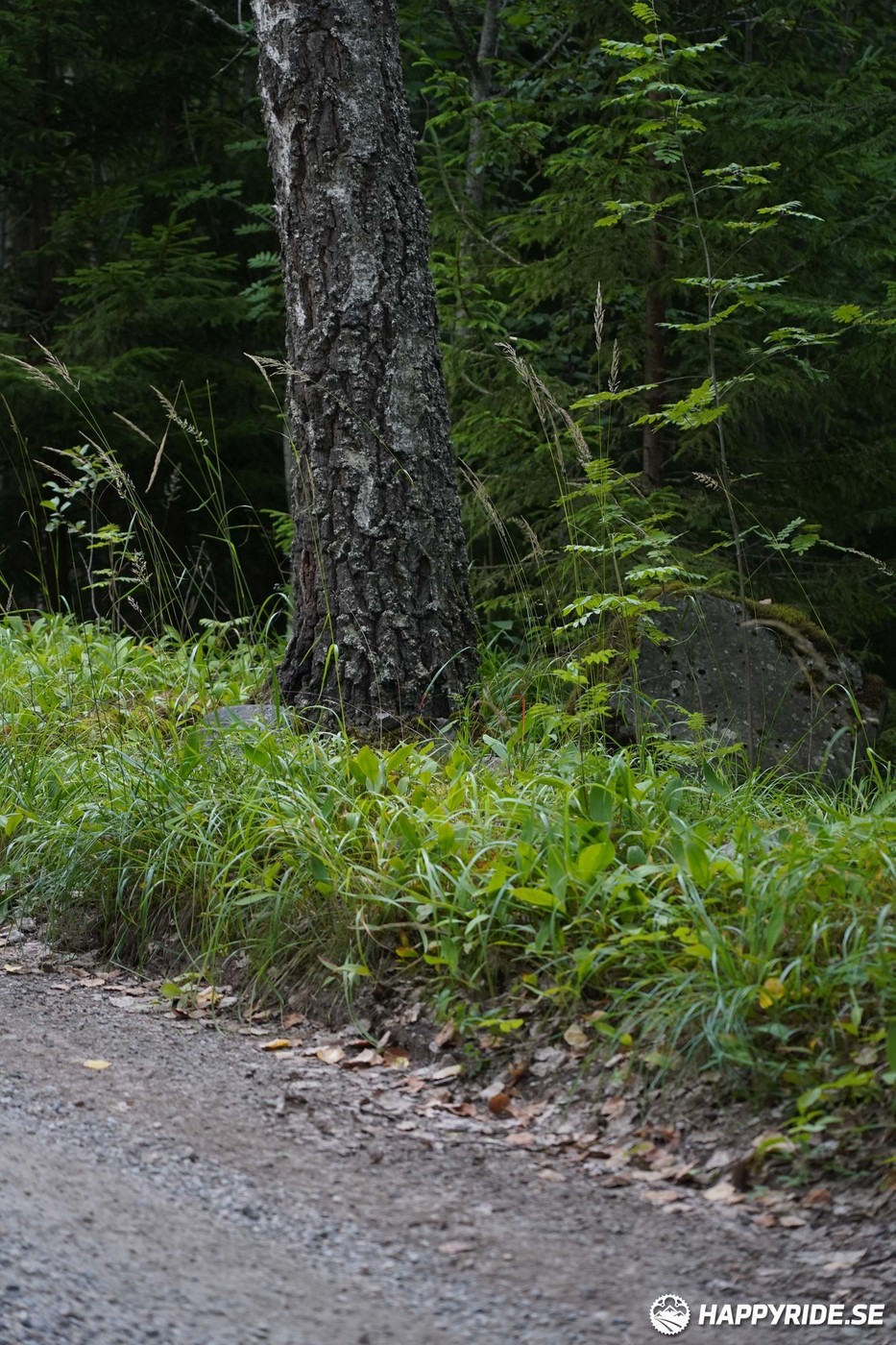 Bild från Finnmarksturen 2022