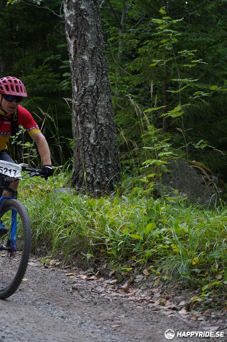 Bild från Finnmarksturen 2022