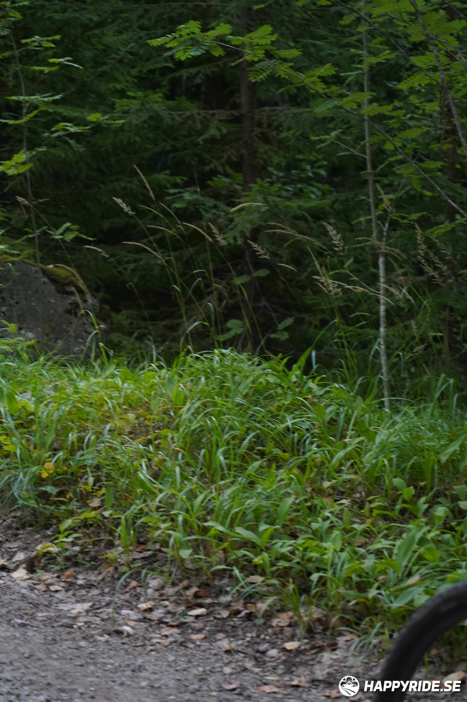 Bild från Finnmarksturen 2022